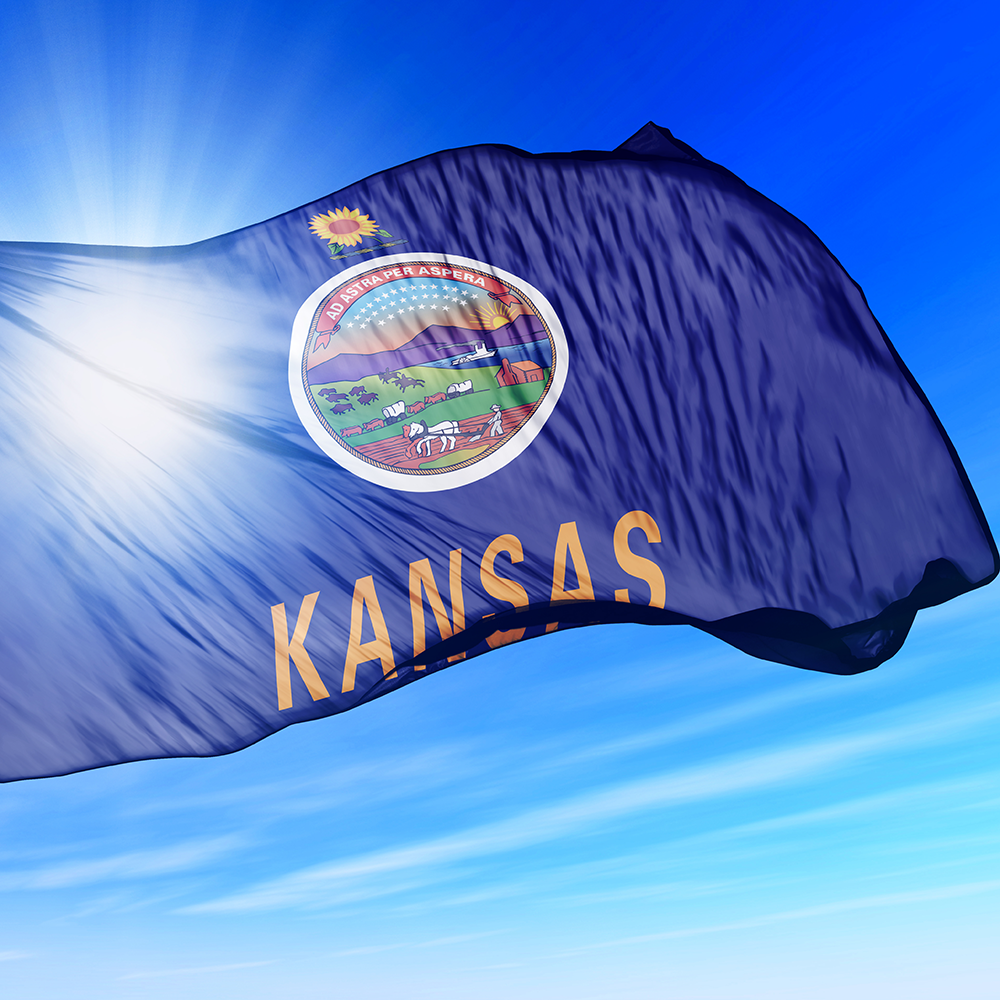 Kansas County Employment Impact Analysis