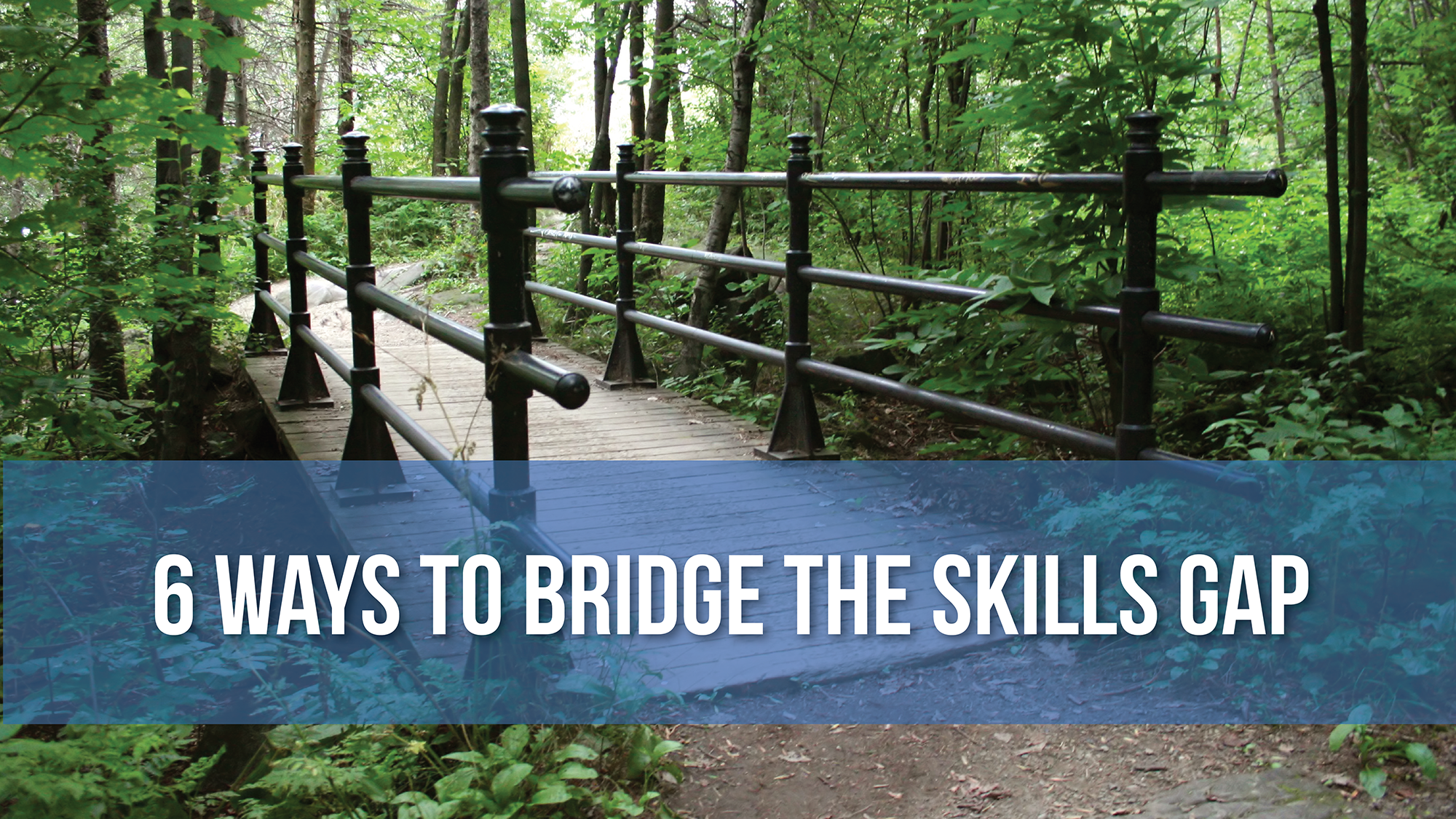 6 Ways to Bridge the Skills Gap